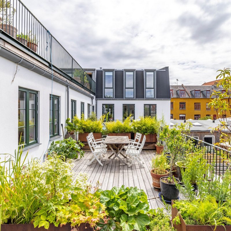 For klimaets skyld – og for din